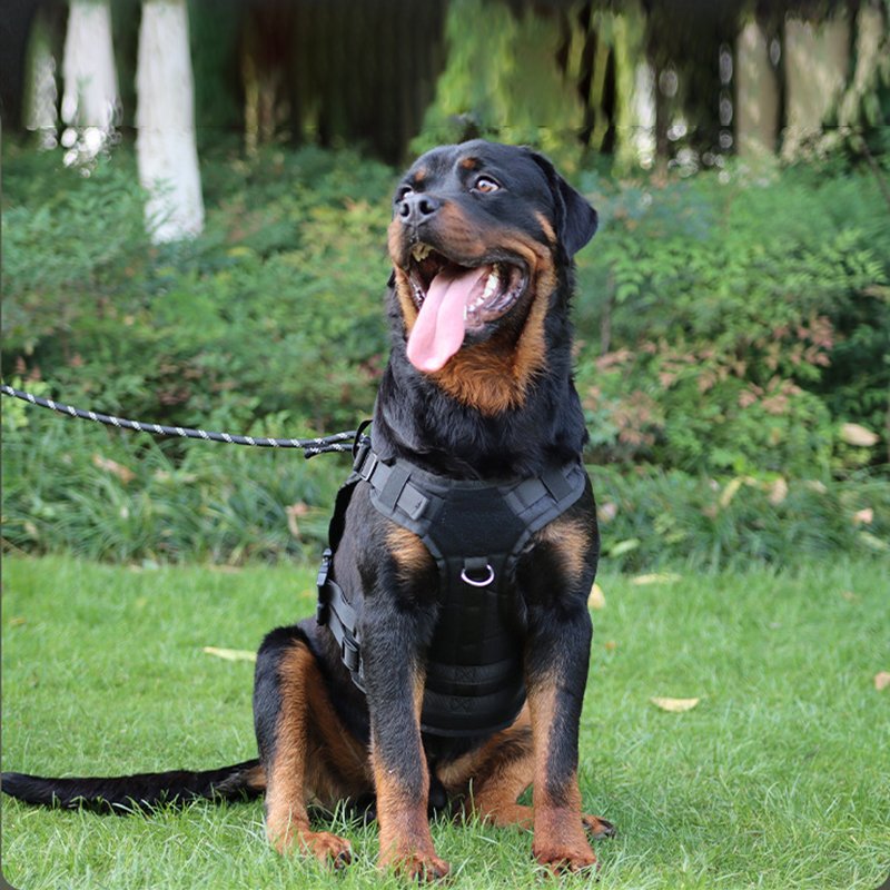 Tactical Gear Harnesses 02 - Image 4