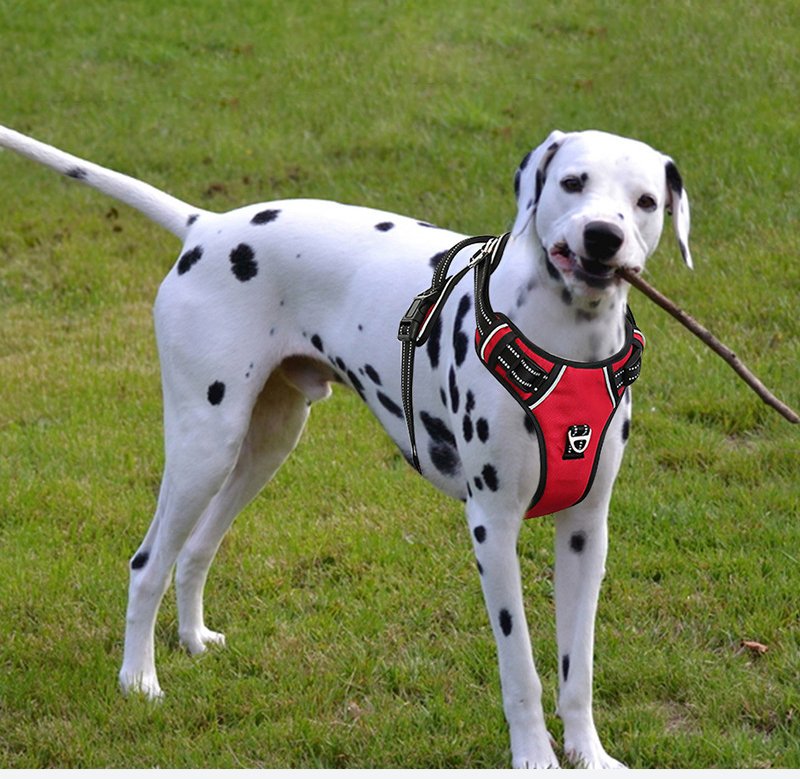 Gear Harnesses 04 - Image 7