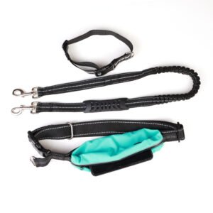 Belt + Leash + Collar