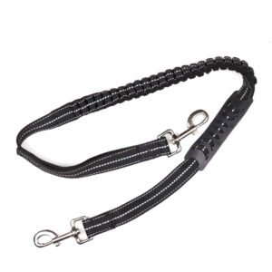 Pet leash - 01