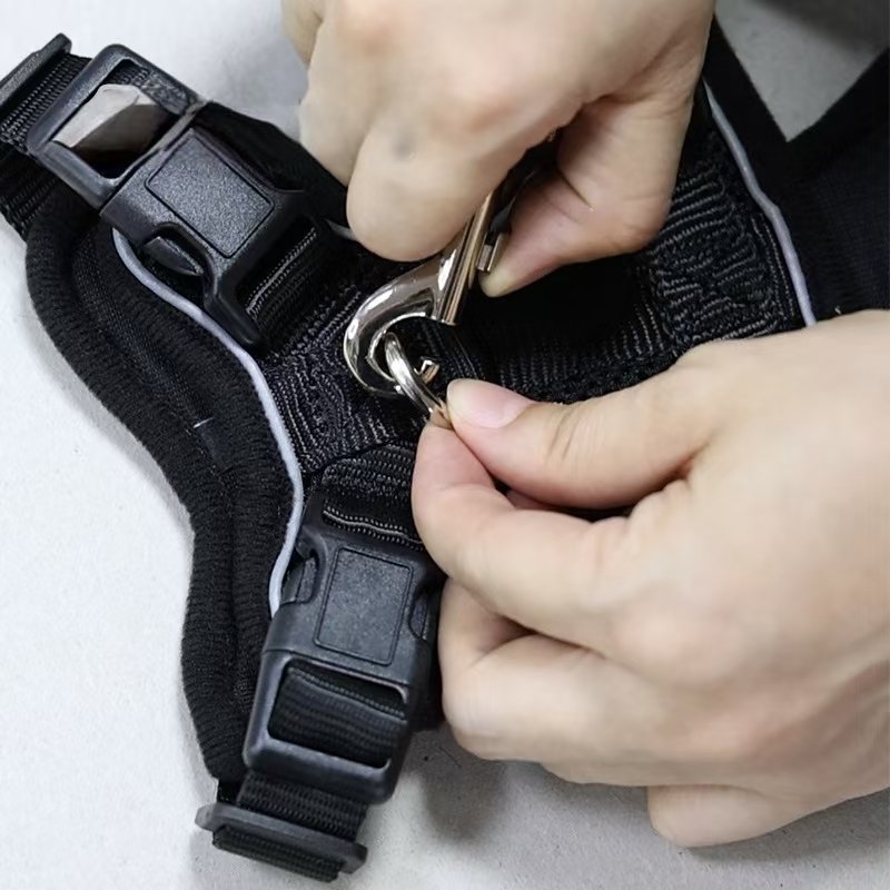 Harnesses + Leash - Image 2