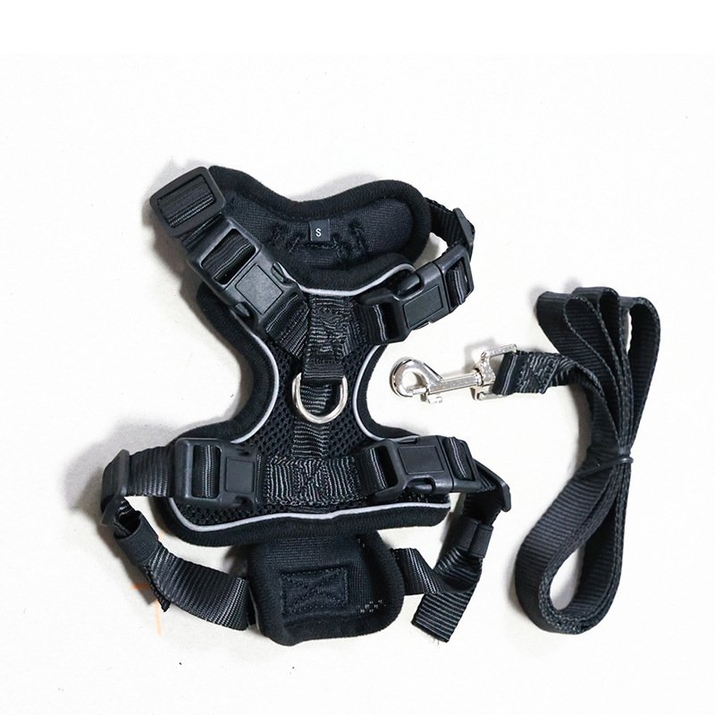 Harnesses + Leash - Image 3