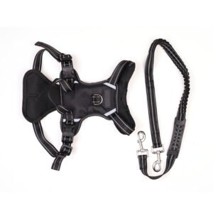 Harnesses + Leash